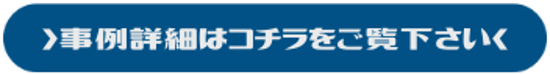 詳細事例はこのリンクからご覧ください